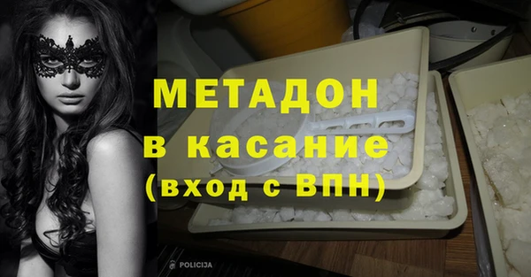 прущие грибы Арсеньев