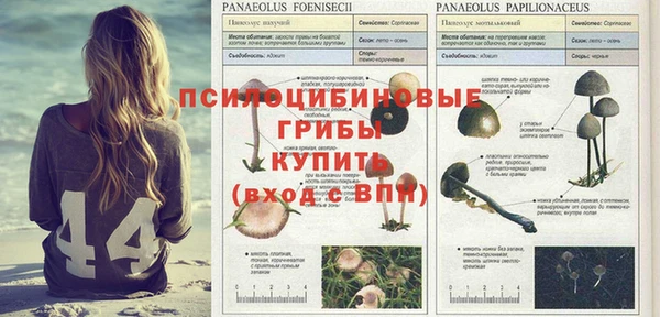 кокаин VHQ Аркадак