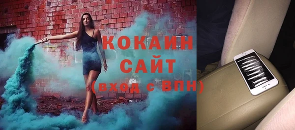 прущие грибы Арсеньев