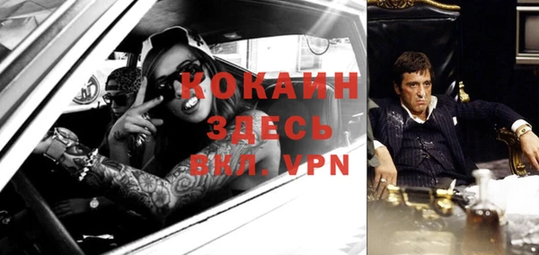 прущие грибы Арсеньев