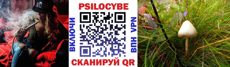 Псилоцибиновые грибы Psilocybe  где найти наркотики  блэк спрут ТОР  Сосновоборск 