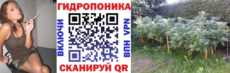 OMG маркетплейс  Сосновоборск  сайты даркнета какой сайт  Бошки Шишки конопля 